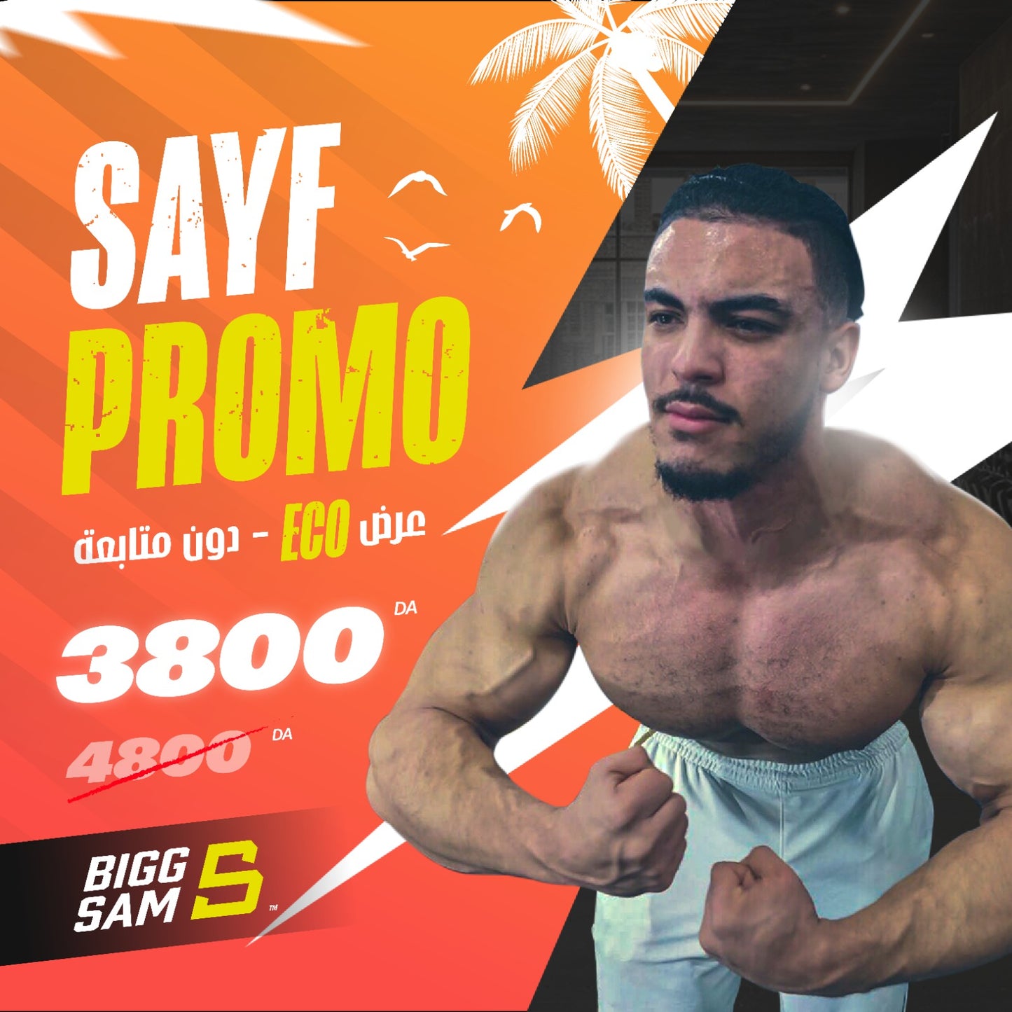 ECO OFFER - إشتراك 2 اشهر ( SAYF PROMO )  🚨